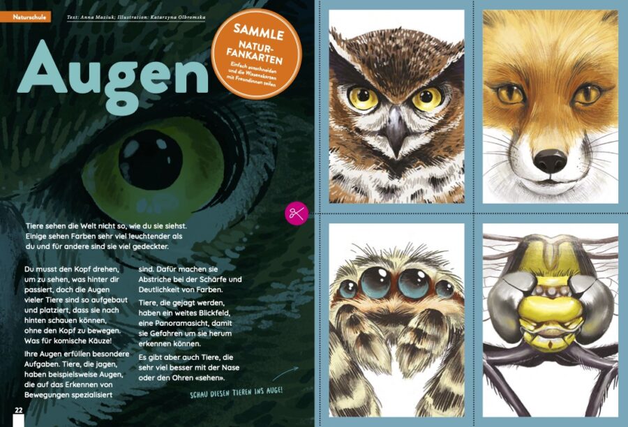 KALEIO-Magazin Nr. 24: Spiegelbild (ab 8-13J.) – Bild 7