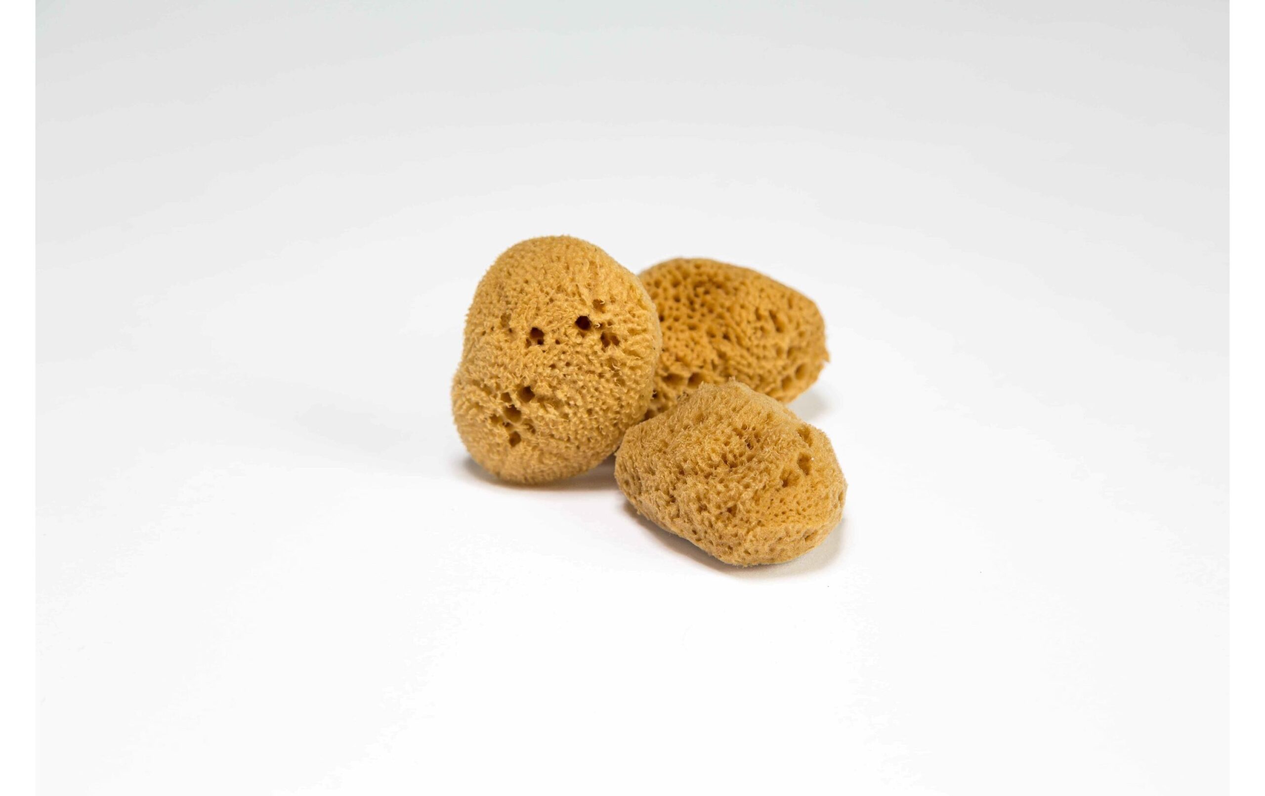 Hera Menstruationsschwämme 3er Set – Bild 2