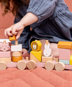 Trixie Holz Eisenbahn mit Tieren (ab 18m +) | Katze