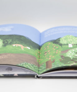 Bilderbuch Mondtage - Zykluswissen für Kinder