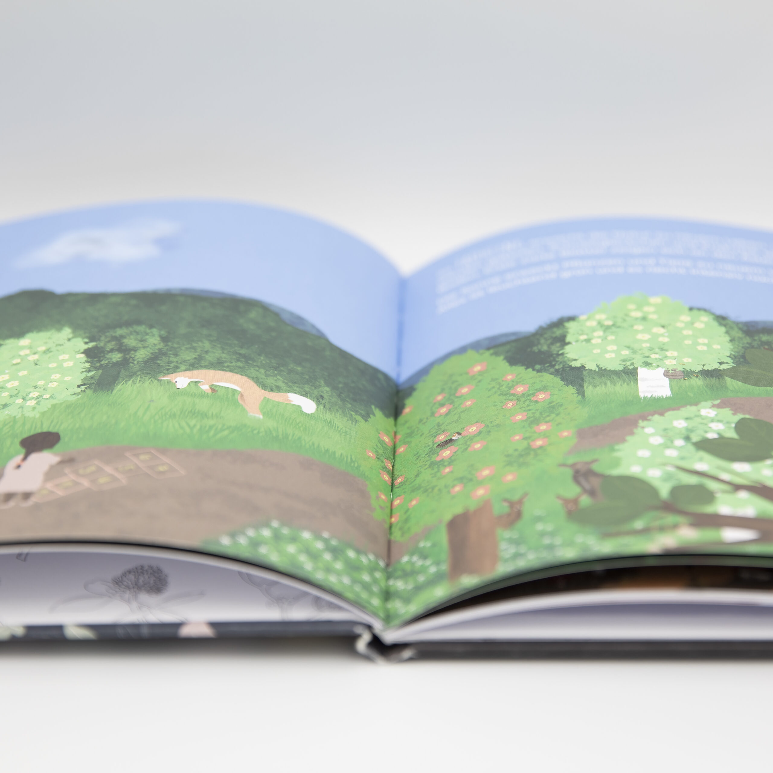 Bilderbuch Mondtage - Zykluswissen für Kinder