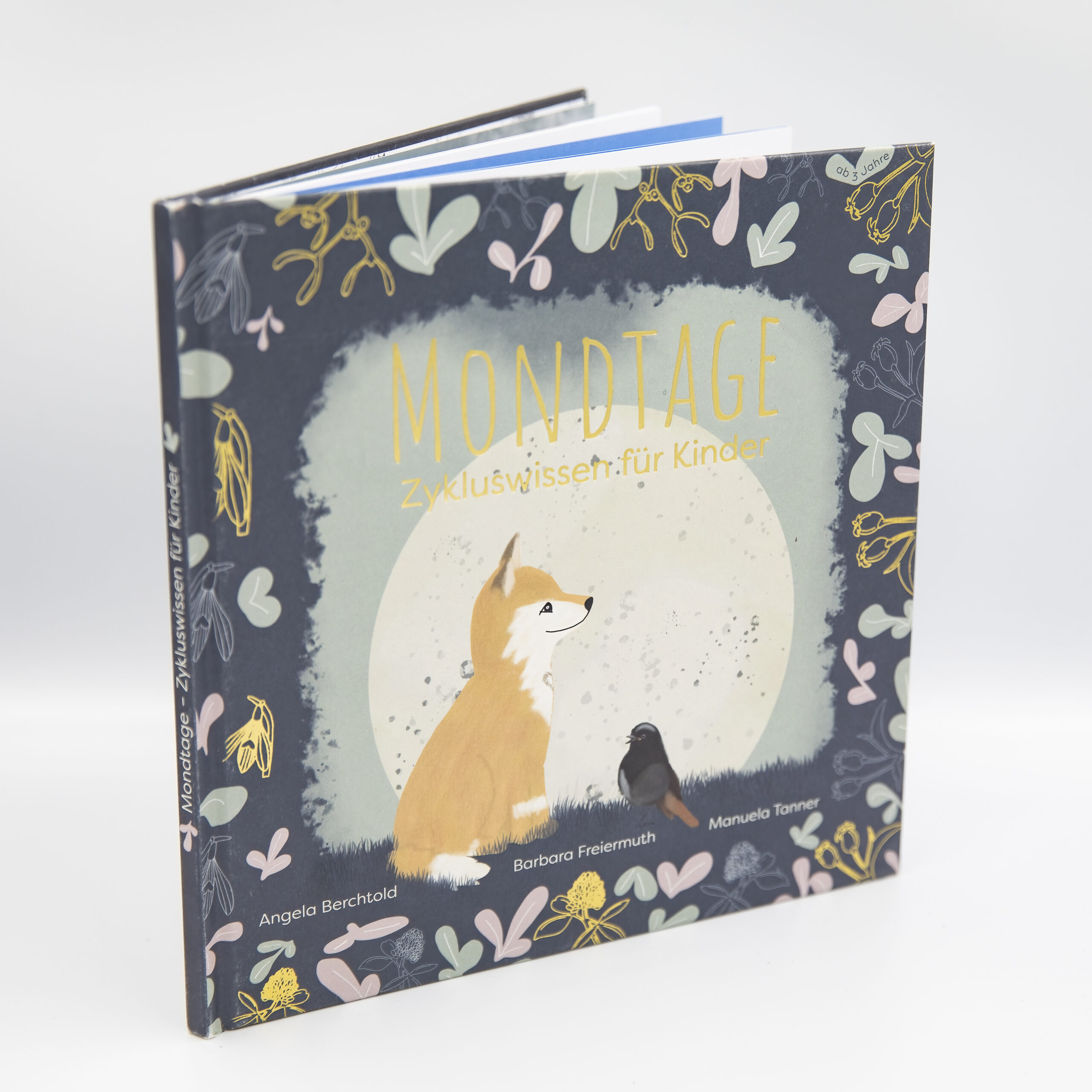 Bilderbuch Mondtage - Zykluswissen für Kinder