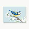 VIERUNDFÜNFZIG Postkarte | Blaumeise Frühling