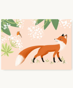 VIERUNDFÜNFZIG Postkarte | Rotkehlchen und Fuchs