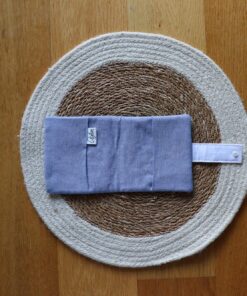 Pixibuch Hülle | Dinofründ-blau