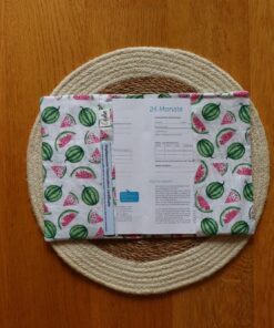 Hülle Gesundheitsheft | Drachenlandschaft