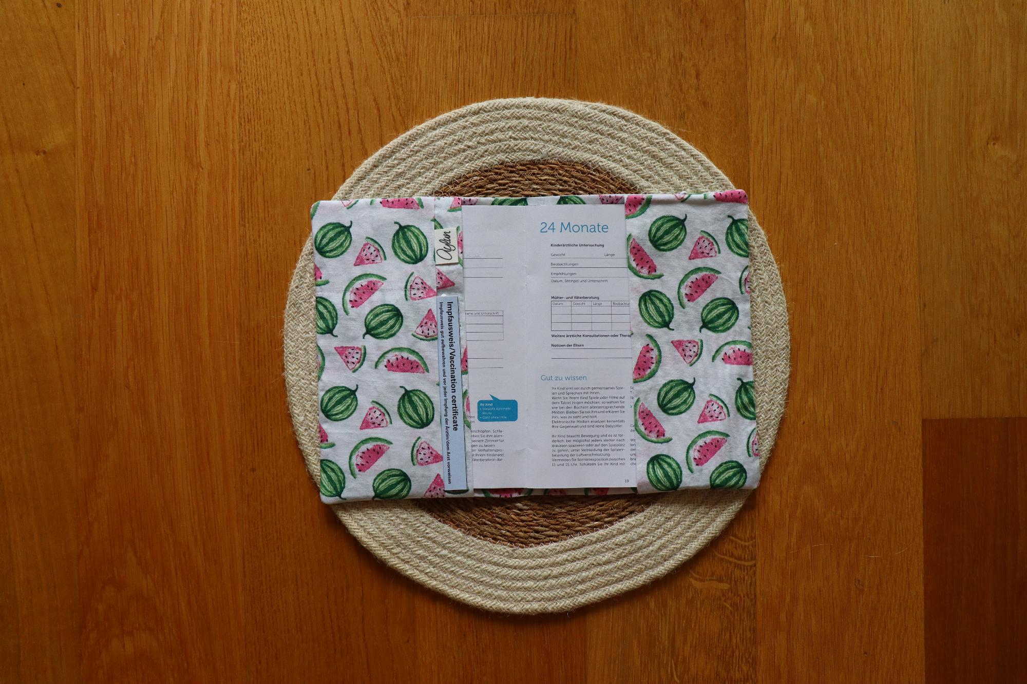 Hülle Gesundheitsheft | Drachenlandschaft