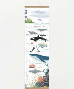 VIERUNDFÜNFZIG Messlatte | Tiere Des Meeres