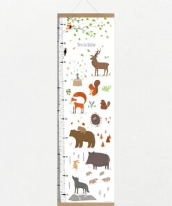 VIERUNDFÜNFZIG Messlatte | Tiere Des Waldes