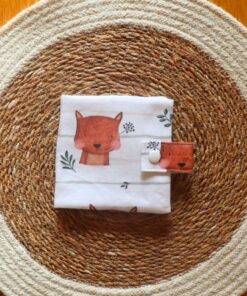 AYLUN Pixibuch Hülle | Eichhörnchen