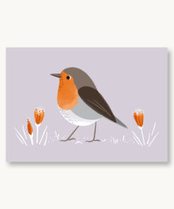 VIERUNDFÜNFZIG Postkarte | Rotkehlchen