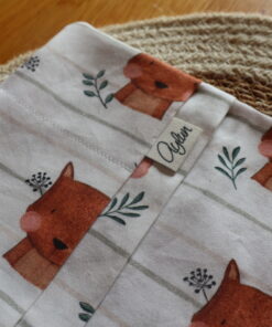 AYLUN Hülle Gesundheitsheft | Eichhörnchen