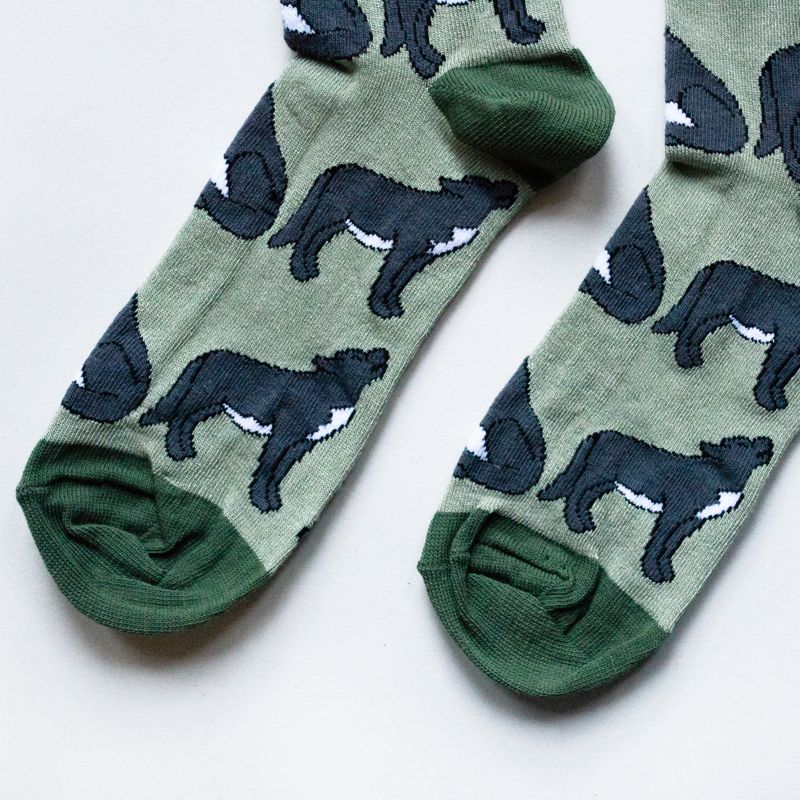 Bare Kind Bambus Socken ERW | Wolf