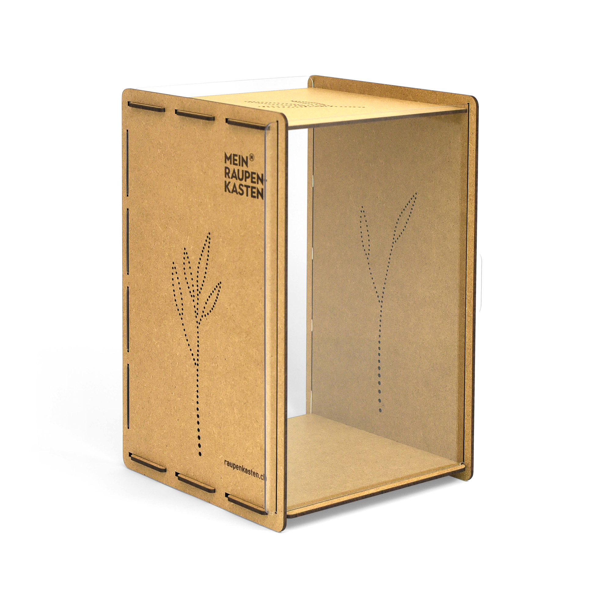 Mein Raupenkasten | RAUPENKASTEN – Bild 4