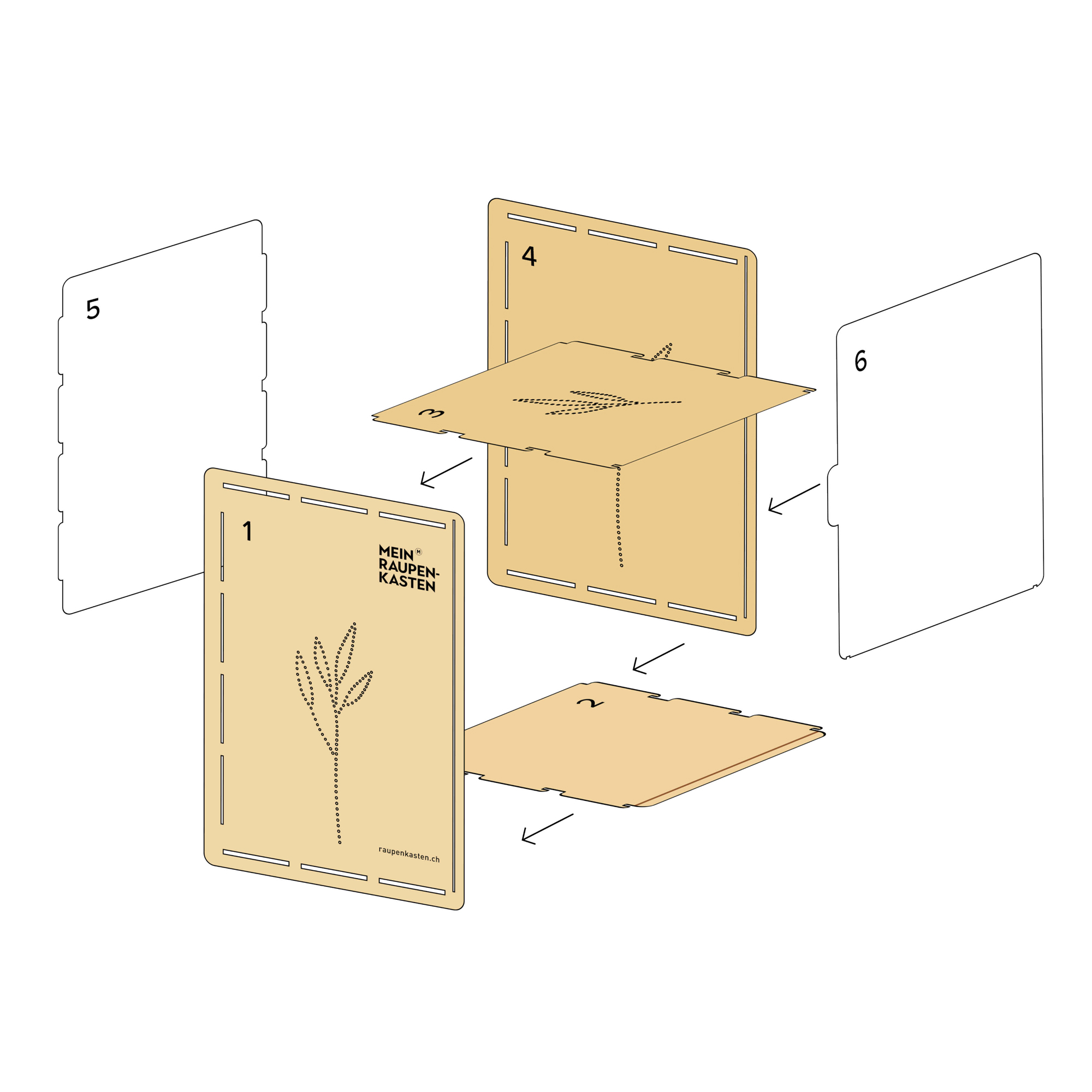 Mein Raupenkasten | RAUPENKASTEN – Bild 6
