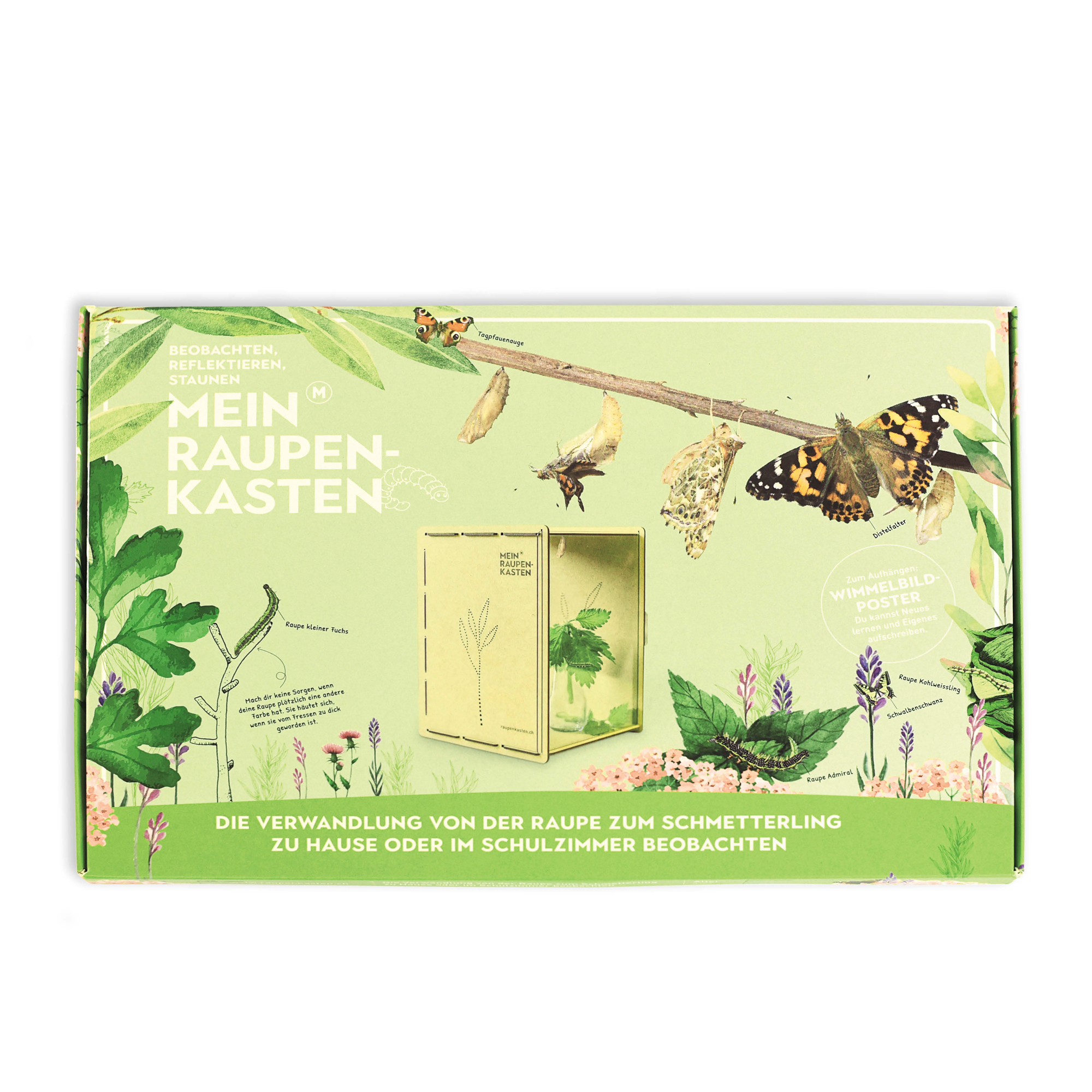 Mein Raupenkasten | RAUPENKASTEN – Bild 9