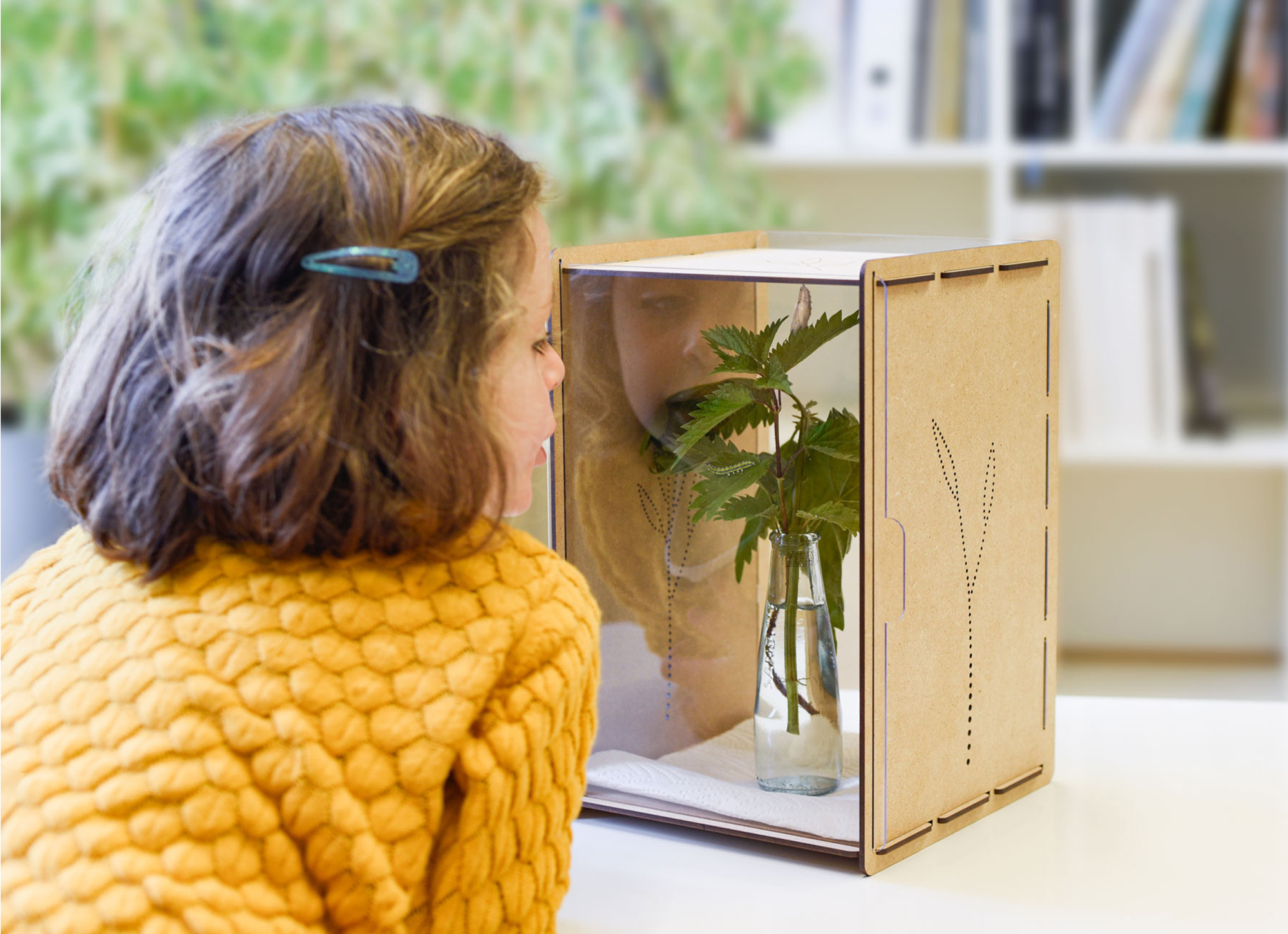 Mein Raupenkasten | RAUPENKASTEN – Bild 8