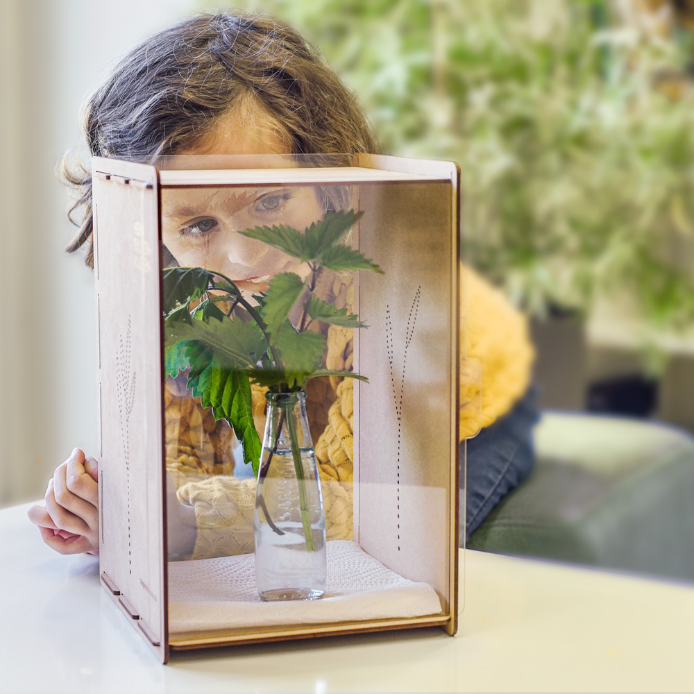 Mein Raupenkasten | RAUPENKASTEN