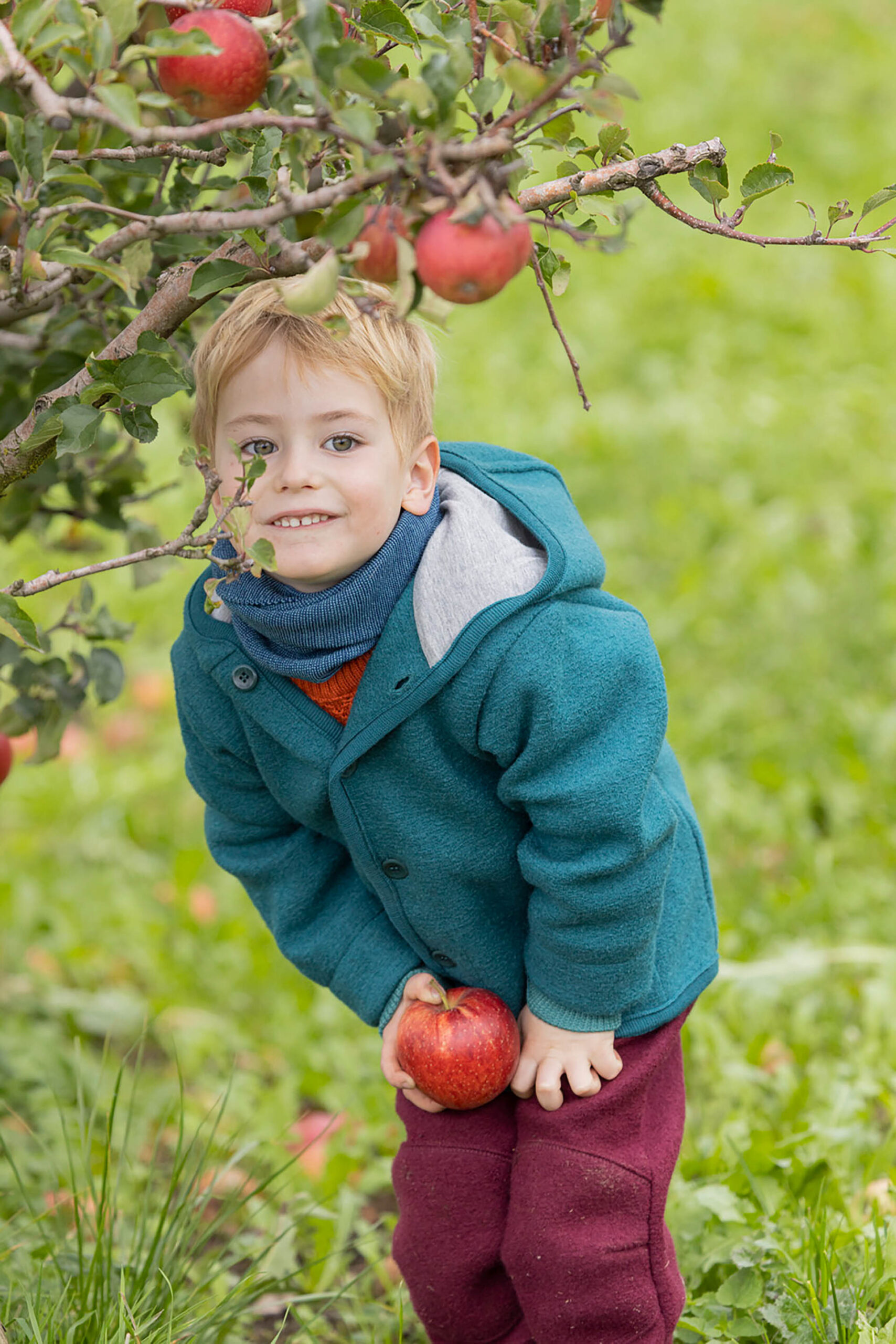 Disana Wollwalk Kleinkind Jacke | Cassis – Bild 2