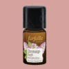 Farfalla Frauenleben | Stimmungshoch Aromamischung (5ml)