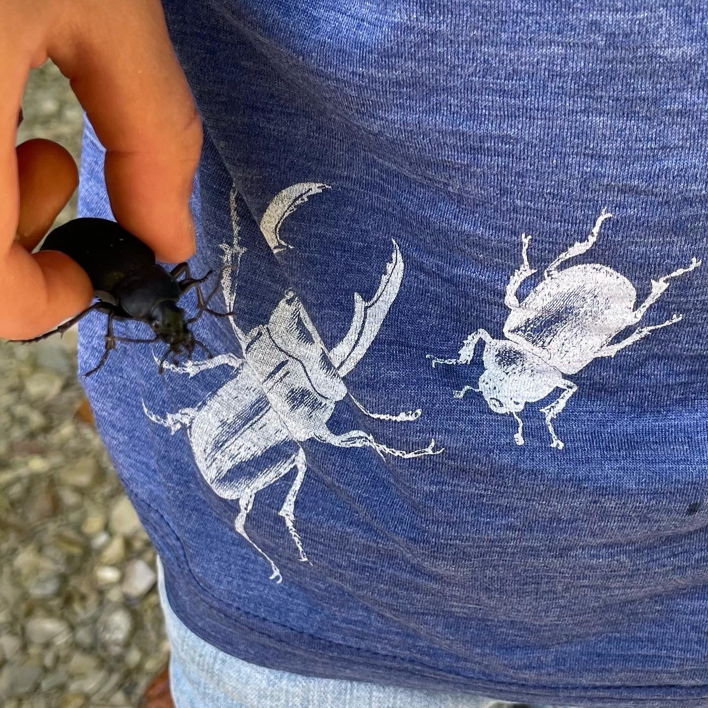 Glückskind T-Shirt Merinowolle & Seide Hirschkäfer | Royal