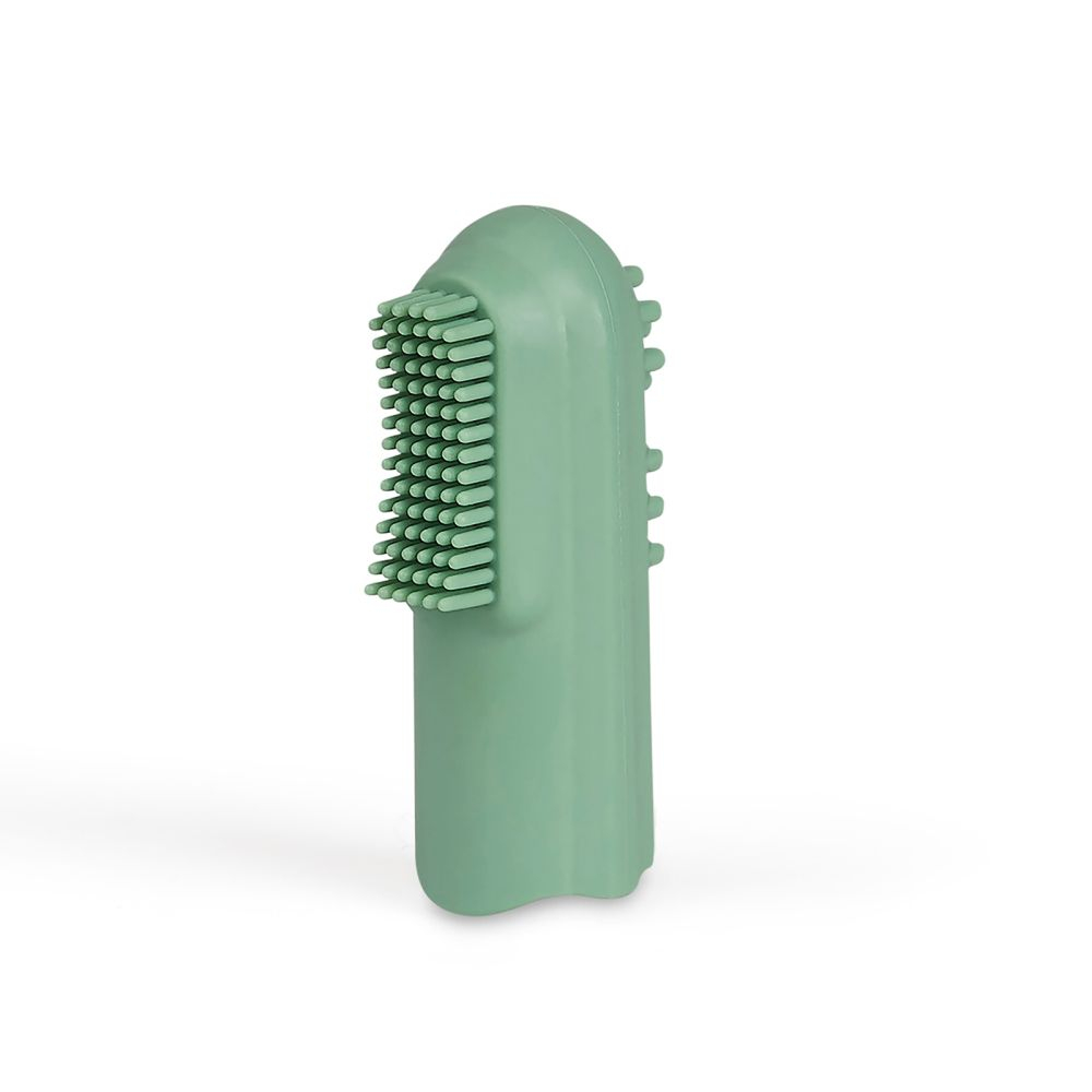 Grünspecht Natürliche Fingerzahnbürste