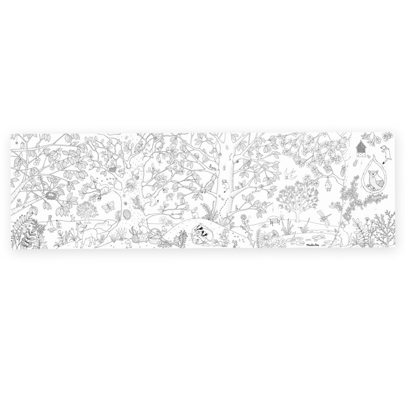 Moulin Roty Poster zum ausmalen (150cm x 45cm) | Botanik