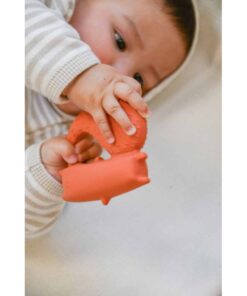 Oli&Carol Baby Beissring | cyril squirrel Fox