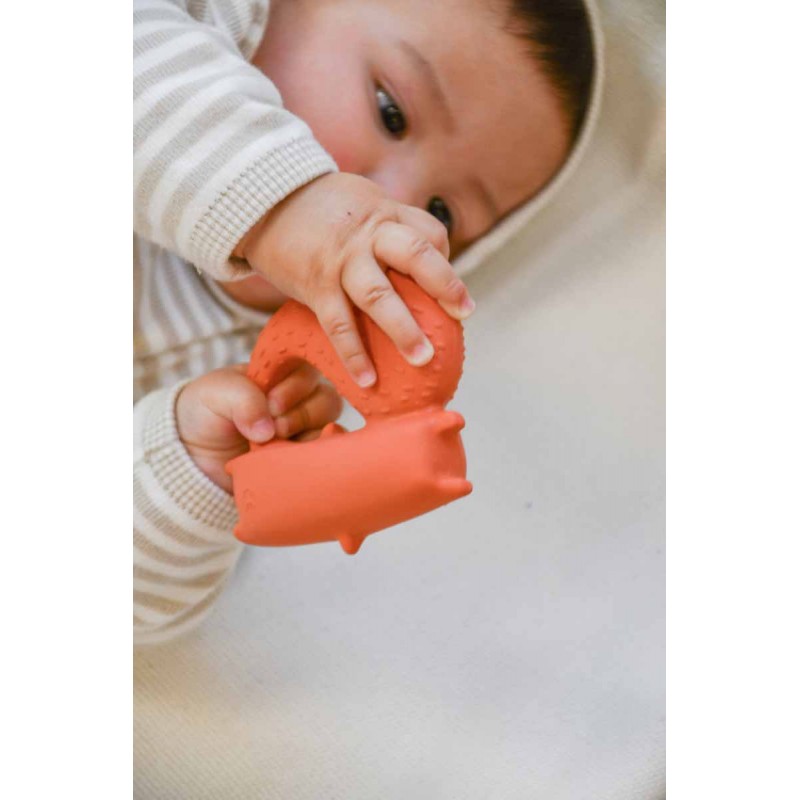 Oli&Carol Baby Beissring | cyril squirrel Fox