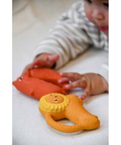 Oli&Carol Baby Beissring | cyril squirrel Fox