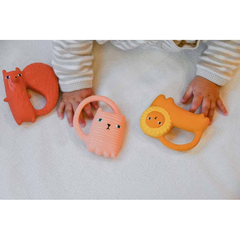 Oli&Carol Baby Beissring | Richie Lion – Bild 8