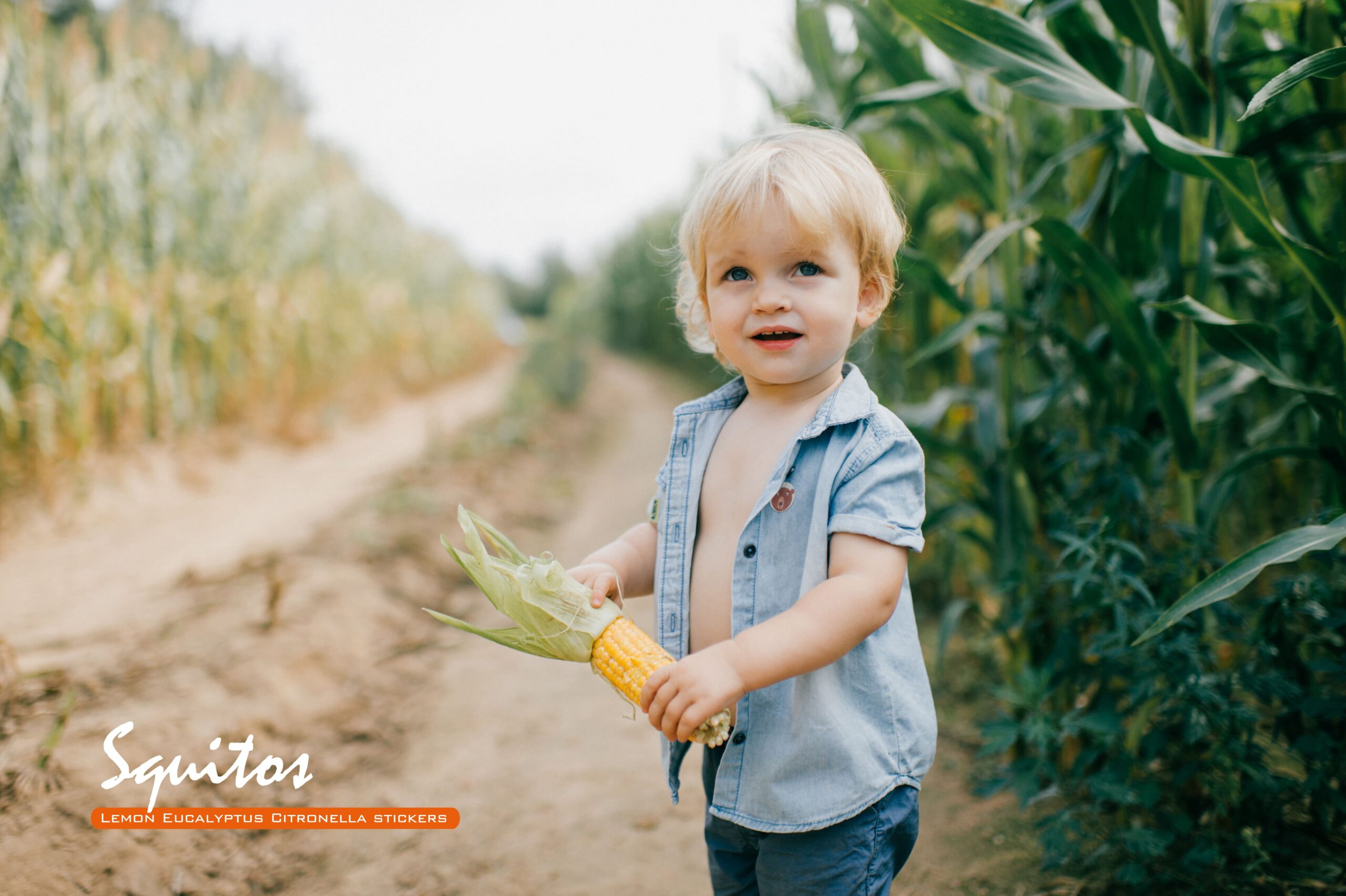 Squitos – Natürliche Duftaufkleber gegen Mücken 24 Stück – Bild 2