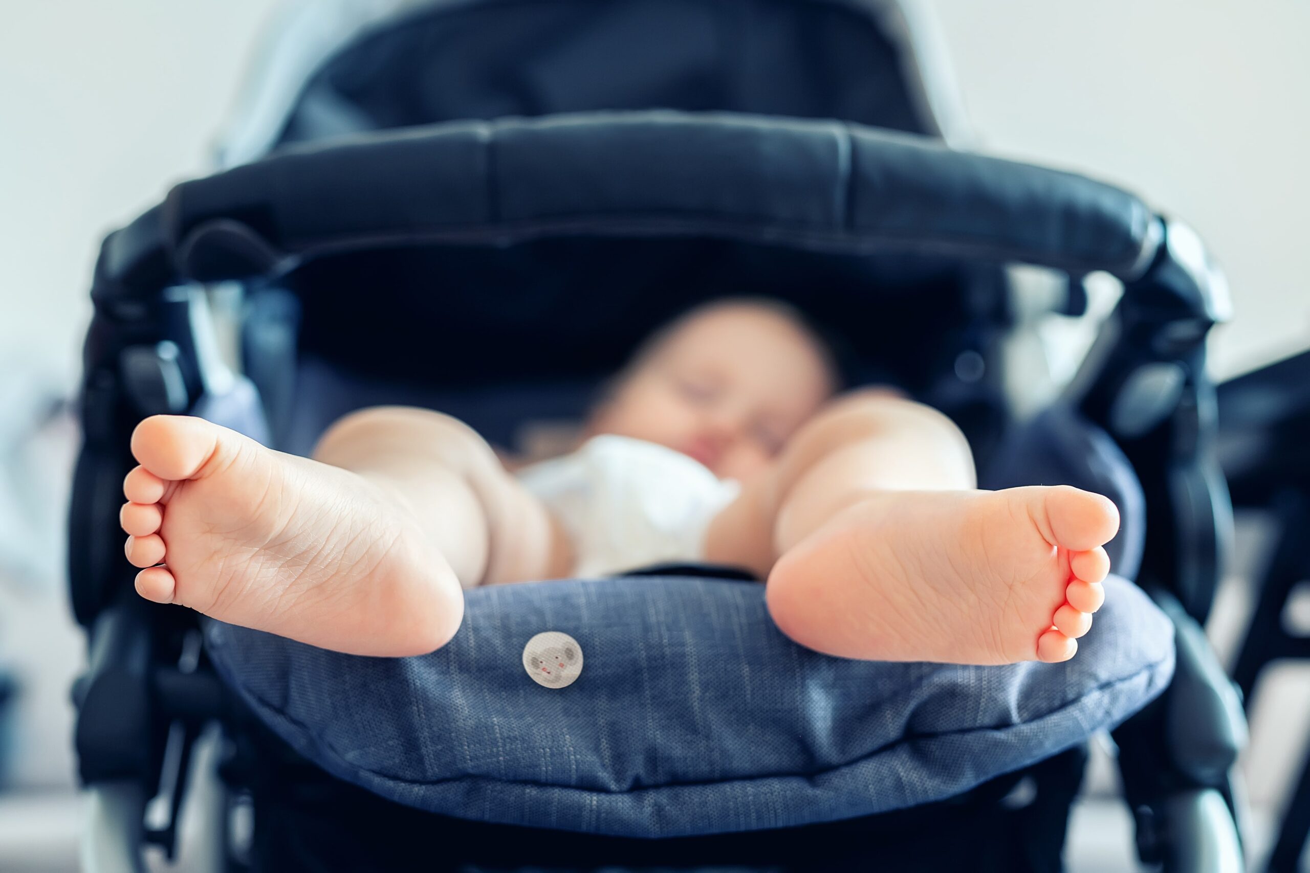 Squitos – Natürliche Duftaufkleber gegen Mücken 24 Stück – Bild 3