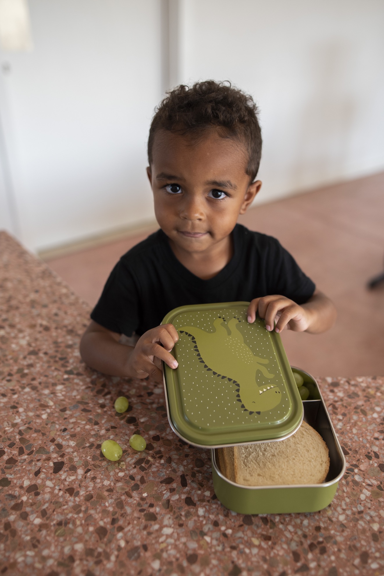 Trixie Lunchbox gross | Dino – Bild 5