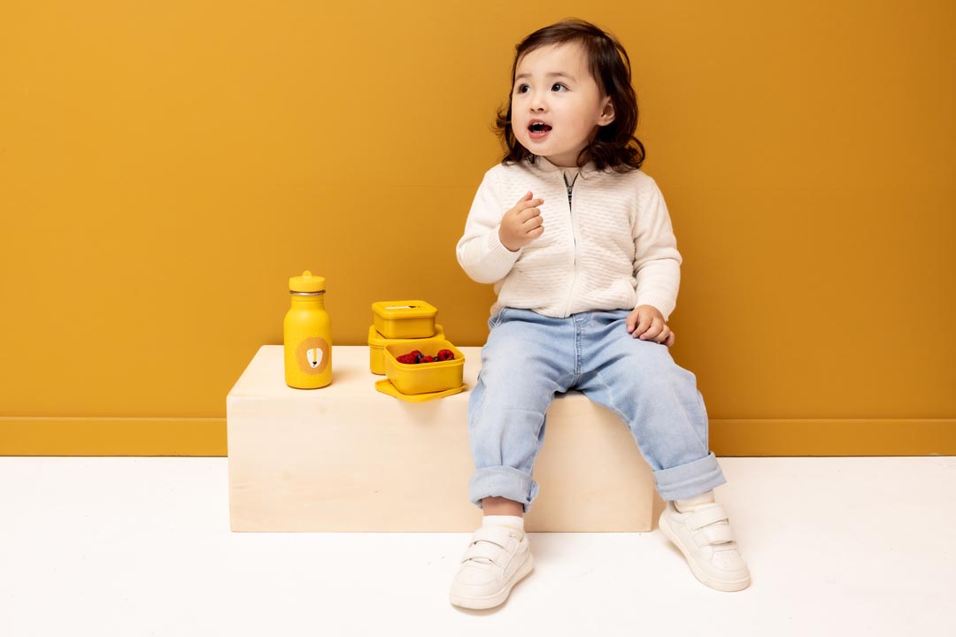 Trixie 3er-Set Snackboxen stapelbar | Löwe – Bild 9