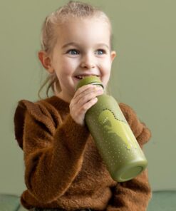 Trixie Trinkflasche 500ml | Dino