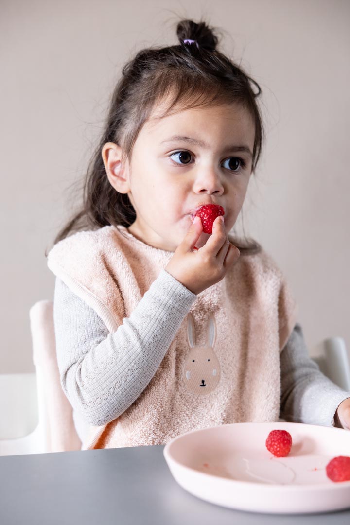 Trixie Frottee Lätzchen XL 2er-Pack (100% Bio Baumwolle) | Aura Dino – Bild 4